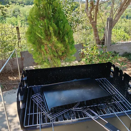 Casa vacanze Codirosso - Rustico In Collina Vicino Al Mare Trebbiantico
